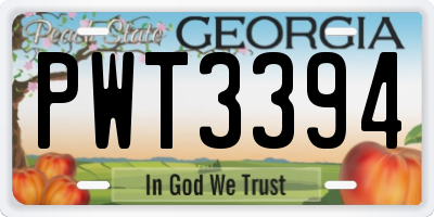 GA license plate PWT3394