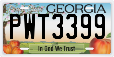 GA license plate PWT3399