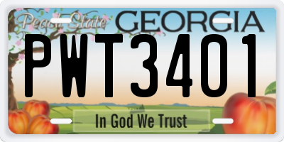 GA license plate PWT3401