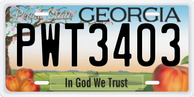 GA license plate PWT3403