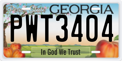 GA license plate PWT3404