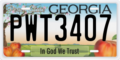 GA license plate PWT3407
