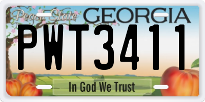 GA license plate PWT3411