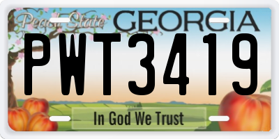 GA license plate PWT3419