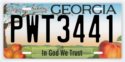 GA license plate PWT3441