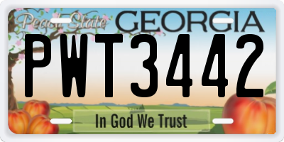 GA license plate PWT3442