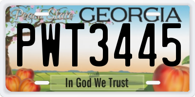 GA license plate PWT3445