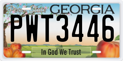 GA license plate PWT3446