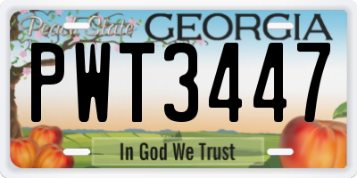GA license plate PWT3447