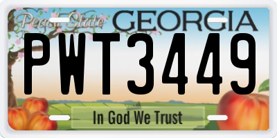 GA license plate PWT3449