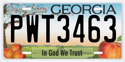 GA license plate PWT3463