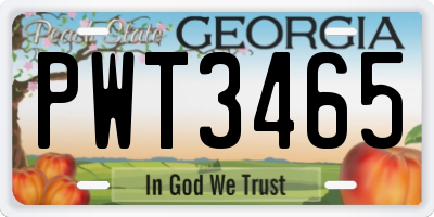 GA license plate PWT3465