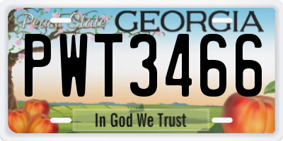 GA license plate PWT3466