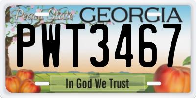 GA license plate PWT3467