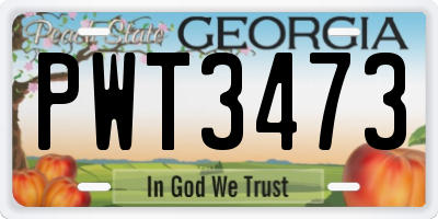 GA license plate PWT3473