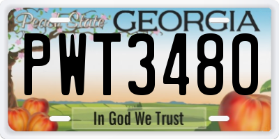 GA license plate PWT3480