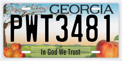 GA license plate PWT3481