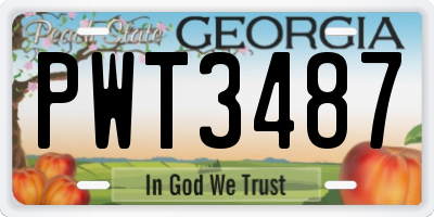 GA license plate PWT3487