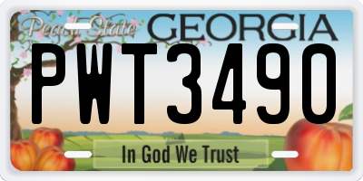 GA license plate PWT3490