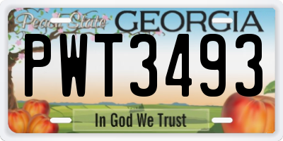 GA license plate PWT3493