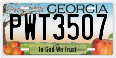 GA license plate PWT3507