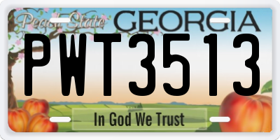 GA license plate PWT3513