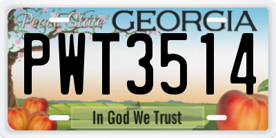 GA license plate PWT3514