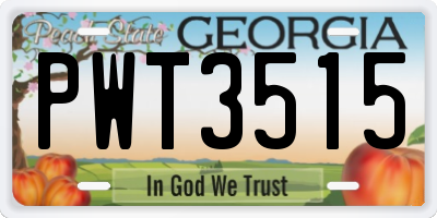 GA license plate PWT3515