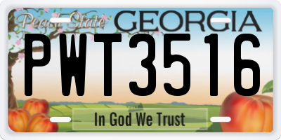 GA license plate PWT3516