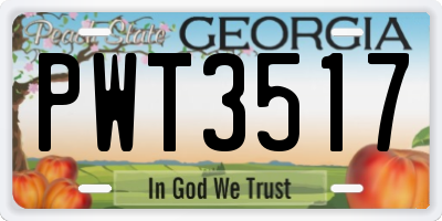 GA license plate PWT3517
