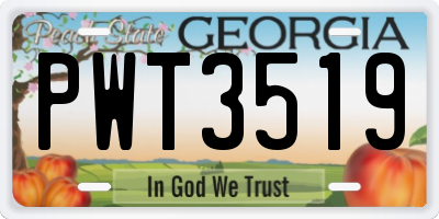 GA license plate PWT3519