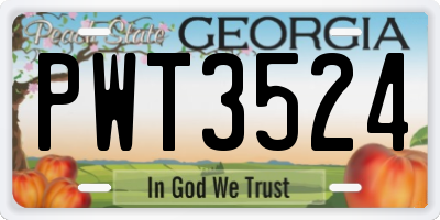 GA license plate PWT3524