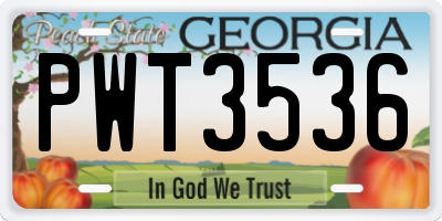 GA license plate PWT3536