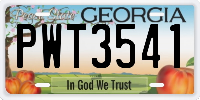 GA license plate PWT3541