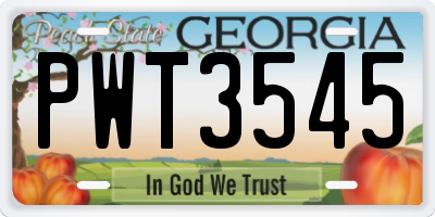 GA license plate PWT3545