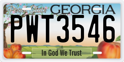 GA license plate PWT3546
