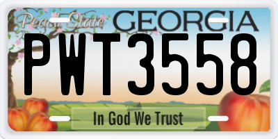 GA license plate PWT3558