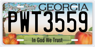 GA license plate PWT3559