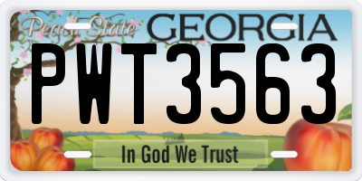 GA license plate PWT3563
