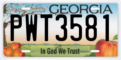 GA license plate PWT3581