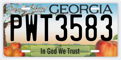 GA license plate PWT3583