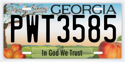 GA license plate PWT3585