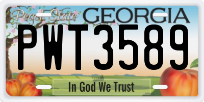 GA license plate PWT3589