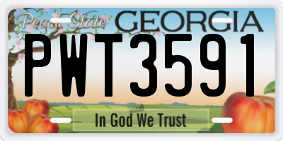 GA license plate PWT3591