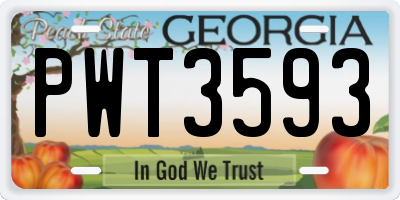 GA license plate PWT3593