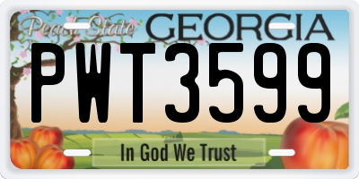 GA license plate PWT3599