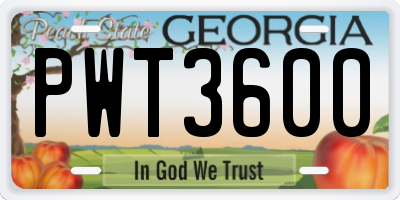 GA license plate PWT3600