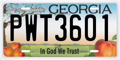GA license plate PWT3601