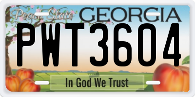 GA license plate PWT3604