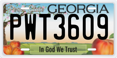 GA license plate PWT3609